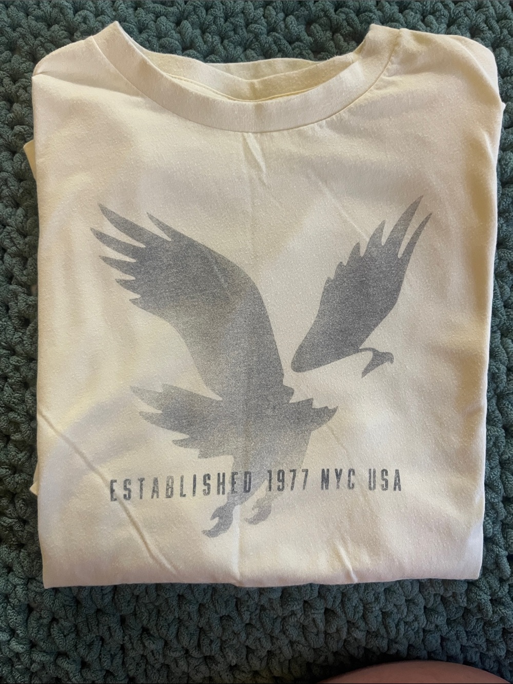 American Eagle Outfitters Cream T‑Shirt with Gray Eagle Graphic